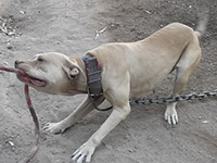 Bonnie II 11-13 in Mexico