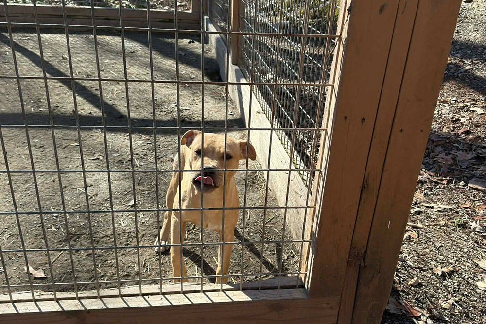 3<sup>2</sup> x Tati 08 25