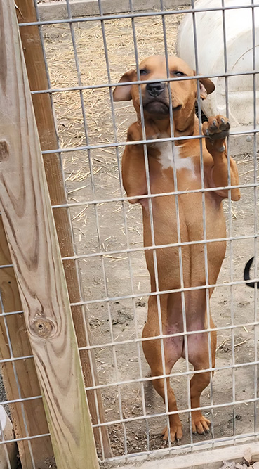 Tyrone x Tommi Gee 01 26